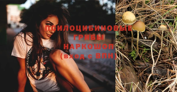 гидра Балахна