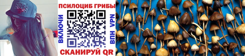 Псилоцибиновые грибы ЛСД  даркнет наркотические препараты  Тулун 